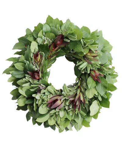 Magnolia Supply Co Fresh Lemon Leaf, Pittosporum And Safari Sunset Wreath, 20" In No Color