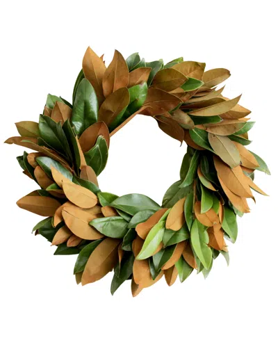 Magnolia Supply Co Fresh Magnolia Wreath, 20" In No Color