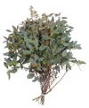 Magnolia Supply Co Fresh Seeded Eucalyptus Bundle In No Color