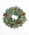 Magnolia Supply Co Fresh Seeded Eucalyptus, Red Berry And Safari Sunset Wreath, 20" In No Color