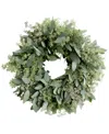 Magnolia Supply Co Fresh Seeded Eucalyptus Wreath, 20" In No Color