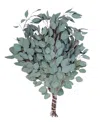 Magnolia Supply Co Fresh Silver Dollar Eucalyptus Bundle In No Color