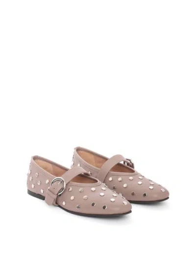 Maguire Aveiro Ballerina In Taupe