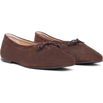 Maguire Prato Ballerina In Brown