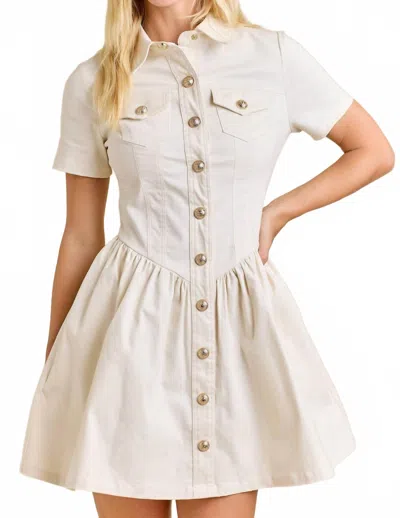 Main Strip Button-up Mini Denim Dress In White In Multi