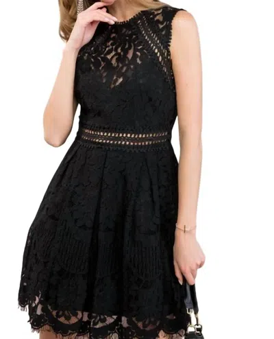 Main Strip Crochet Lace Skater Dress In Black