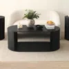 Maison Boucle 47.5'' Oval Coffee Table With Storage For Living Room- In Black