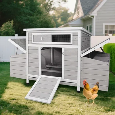 Maison Boucle 57'' Large Wooden Chicken Coop Outdoor Hen House With Nesting Boxes -  In Gray