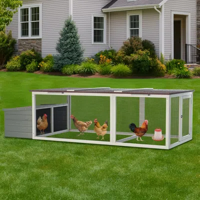 Maison Boucle 70'' Wooden Chicken Coop With Nesting Box And Run For Backyard Use -  In Gray
