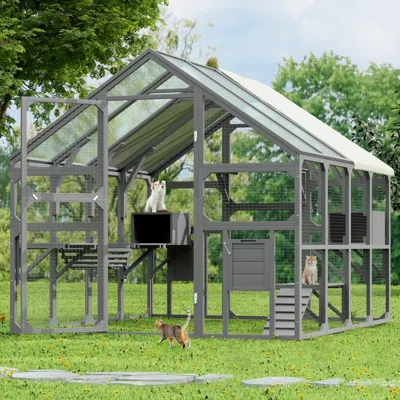 Maison Boucle Walk-in Wooden Cat Enclosure With Platforms And Ramp For Multiple Cats -  In Gray