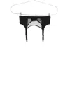 Maison Close Pure Tentation Mesh-panel Garter Belt