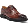 Maison Forte Centurion Croc Embossed Derby In Cognac