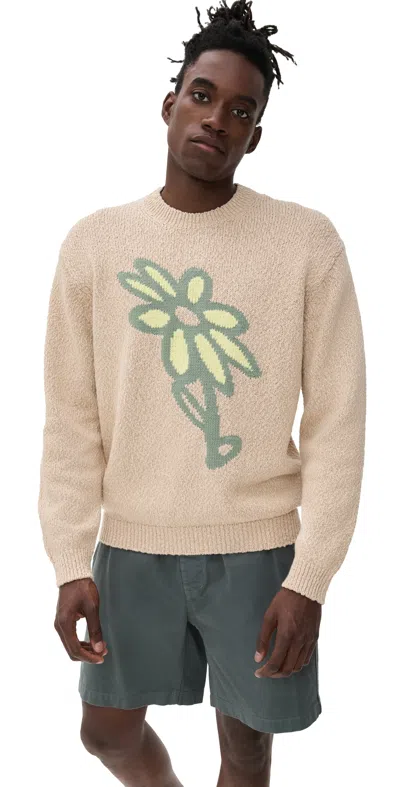 Maison Kitsuné Abstract Daisy Intarsia Sweater Dune In Neutral