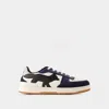 Maison Kitsuné Chiru Trainers