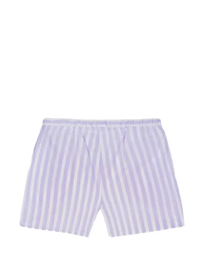 Maison Labiche Vernemouze Striped Elasticated-waist Shorts In Purple