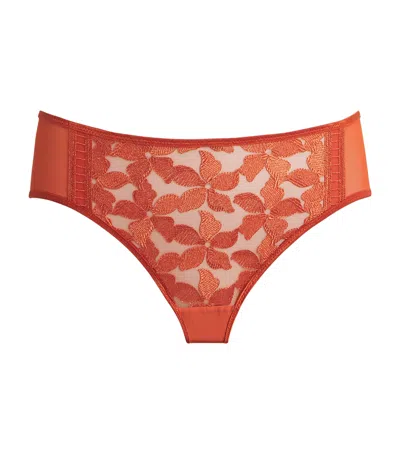 Maison Lejaby Embroidered Magnolia Briefs In Orange
