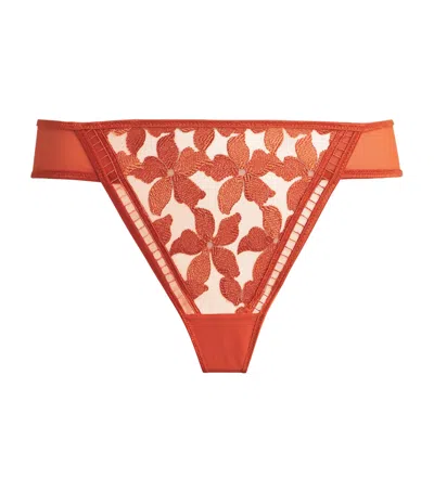 Maison Lejaby Embroidered Magnolia Tanga In Orange