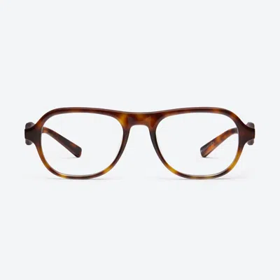 Pre-owned Maison Margiela Gentle Monster X  Mm113 Tortoiseshell Clear / Fedex