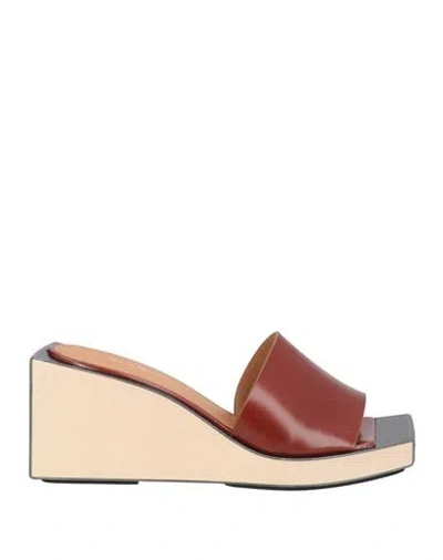 Maison Margiela Woman Sandals Brown Size 11 Soft Leather