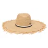 Maison Michel Big Kate Hat In Beige Raffia In Brown