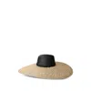 Maison Michel Straw Hat In Multi