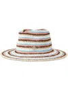 Maison Michel Charles Striped Straw Fedora In Blue