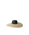 Maison Michel Straw Hat In Black