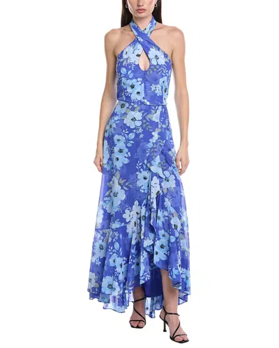 Maison Tara Printed Chiffon Crepe Maxi Dress In Blue