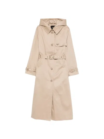 Maje Belted Hooded Raincoat In Neutral
