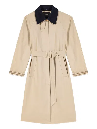 Maje Belted Trench Coat In Brown