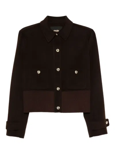 Maje Button-fastening Ribbed Bomber Jacket In Brown