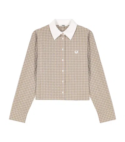 Maje Cotton Check Shirt With Tie In Beige