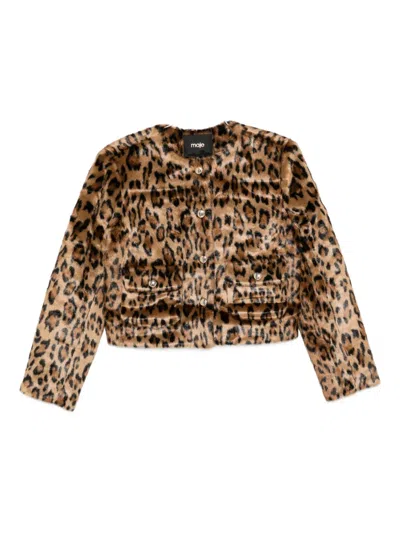 Maje Leopard-print Buttoned Jacket In Brown