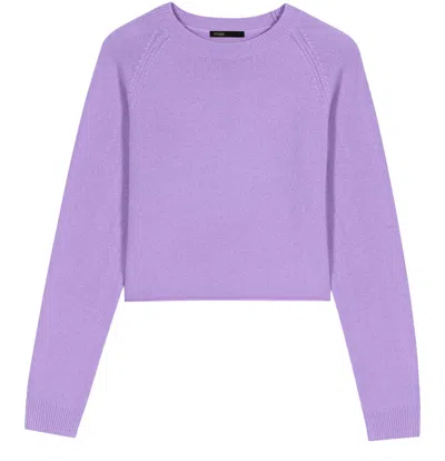 Maje Long Sleeve Sweater In Grey Rhinestone Tennis Stripe /