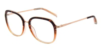 Maje Mj1025 Men's Glasses, Brown, Size 53