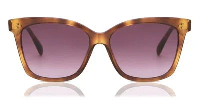 Maje Mj5004 202 Women's Sunglasses Tortoiseshell Size 51