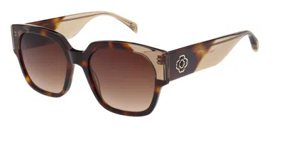 Maje Mj5047 104 Women's Sunglasses Tortoiseshell Size 55 In Brown