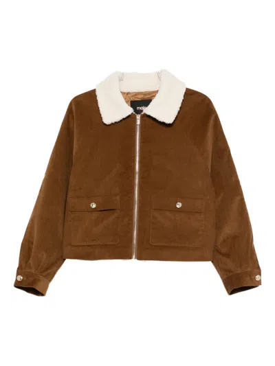 Maje Shearling-collar Jacket In Brown