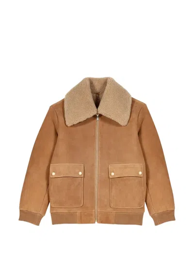 Maje Shearling-collar Zip-up Jacket In Neutrals