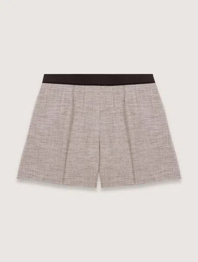 Maje Suit Shorts With Darts In Grey