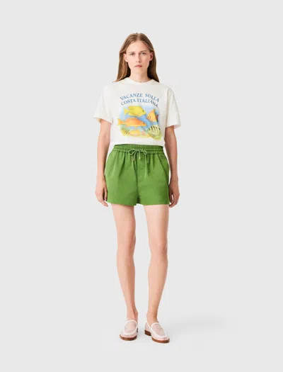 Maje Technical Fabric Shorts In Green