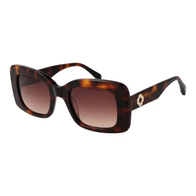 Maje Women Women's Sunglasses In Brown