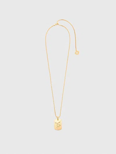 Maje Zodiac Sign Plaque Necklace