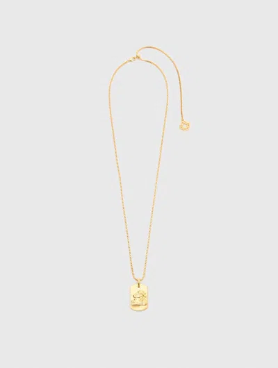 Maje Zodiac Sign Plaque Necklace In Gray