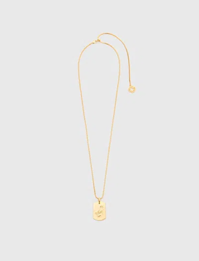 Maje Zodiac Sign Plaque Necklace In Multi