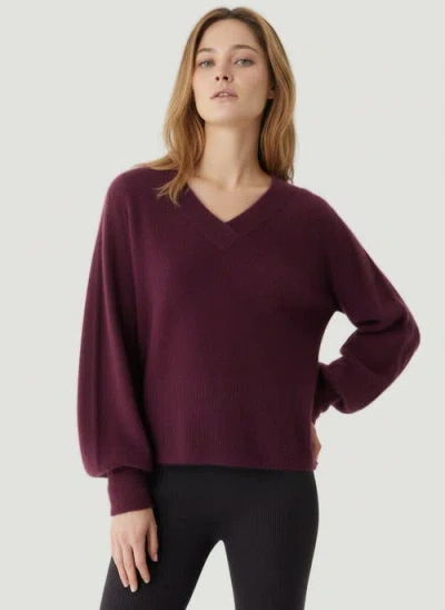 Majestic Filatures Ultra Soft Knit Long Sleeve V-neck Sweater In Burgundy