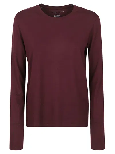 Majestic T-shirts And Polos Prune In 475 Prune