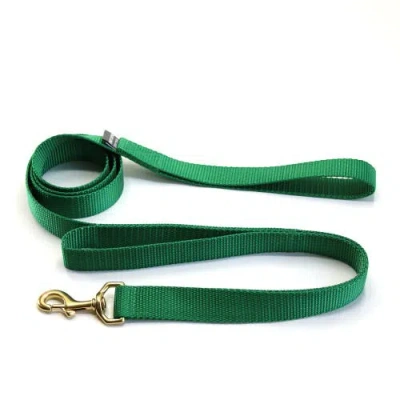 Major Darling Double Handle Dog Leash In Kelly Green