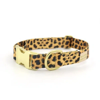 Major Darling Leopard Print Dog Collar In Brass Plated - Xs