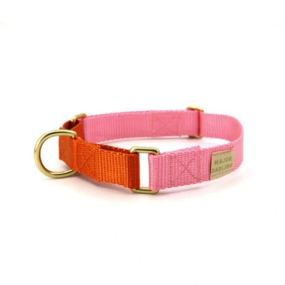 Major Darling Martingale Dog Collar In Pink + Orange